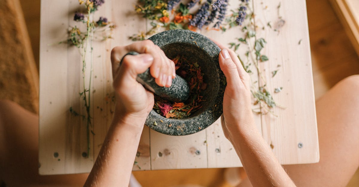découvrez la cuisine durable, un art culinaire alliant saveurs exquises et respect de l'environnement. apprenez des recettes écoresponsables, des astuces pour réduire votre empreinte carbone en cuisine et l'importance des ingrédients locaux. rejoignez le mouvement vers une alimentation plus verte et savoureuse.