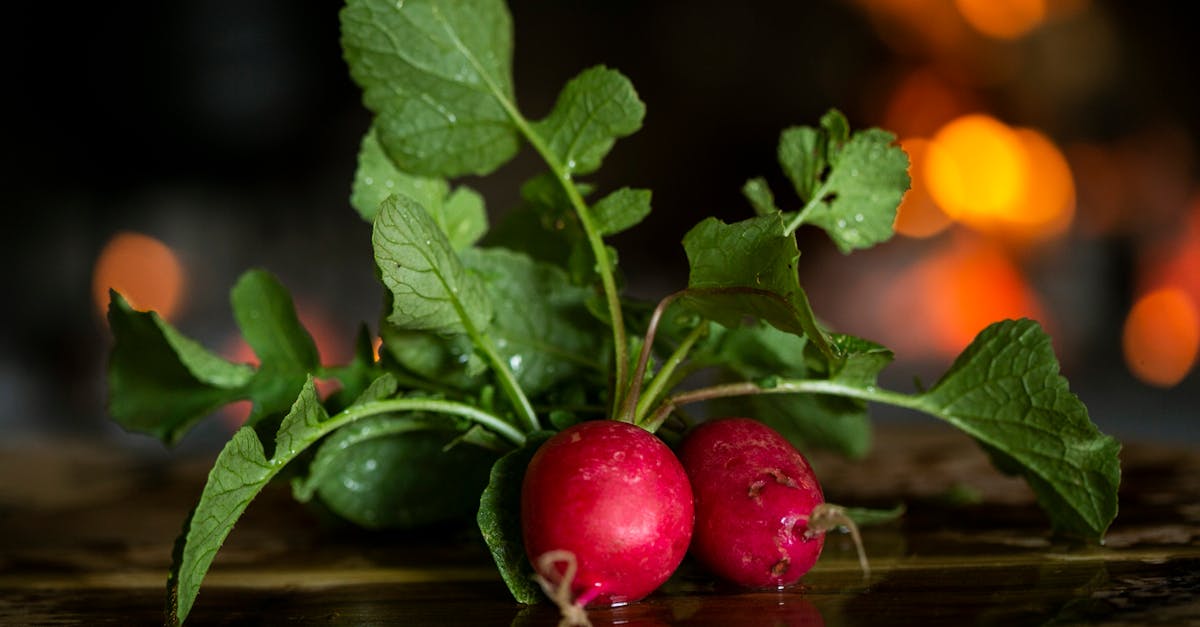 découvrez l'art de la cuisine durable avec des recettes savoureuses et respectueuses de l'environnement. apprenez à utiliser des ingrédients locaux et de saison pour réduire votre empreinte écologique tout en régalant vos papilles.