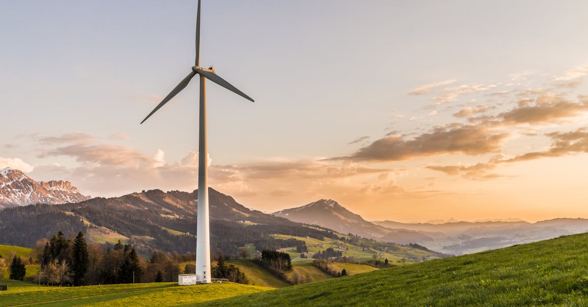 découvrez les principes et pratiques du développement durable, une approche essentielle pour équilibrer croissance économique, équité sociale et protection de l'environnement. explorez des solutions innovantes pour un avenir responsable.