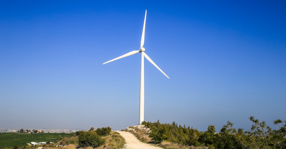 découvrez les principes du développement durable, une approche qui vise à concilier croissance économique, protection de l'environnement et équité sociale pour un avenir meilleur. apprenez comment adopter des pratiques durables dans votre vie quotidienne et contribuer à la préservation de notre planète.