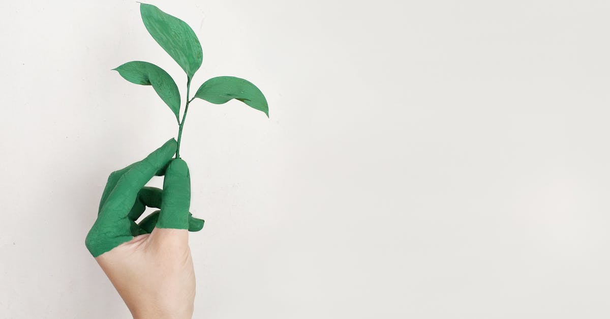 Les projets innovants en matière de développement durable