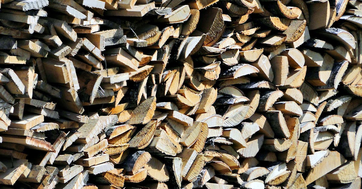 Stratégies pour une transition énergétique durable