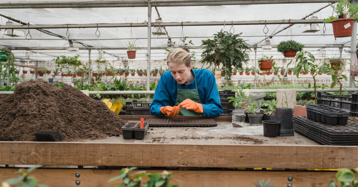 découvrez les secrets du jardinage durable, une pratique qui allie respect de l'environnement et esthétisme. apprenez à cultiver des plantes tout en préservant les ressources naturelles et en favorisant la biodiversité. transformez votre jardin en un écosystème vivant et écoresponsable.
