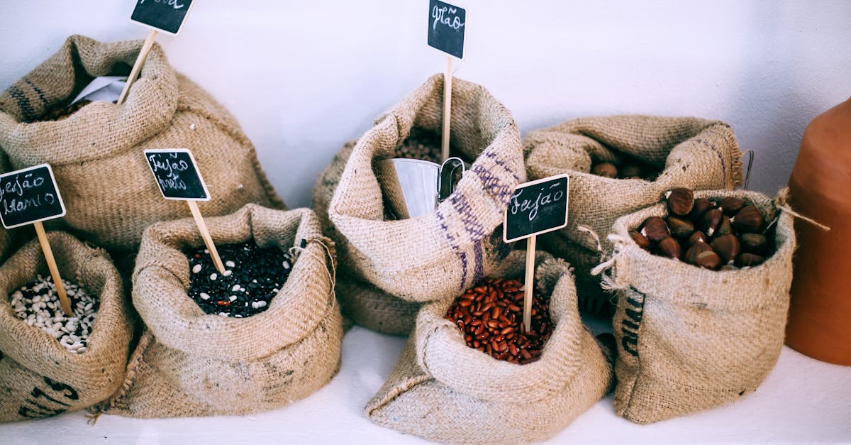 découvrez les protéines durables, une alternative nutritionnelle respectueuse de l'environnement. explorez comment ces sources alternatives peuvent enrichir votre alimentation tout en réduisant votre impact écologique. adoptez une vie saine et durable dès aujourd'hui !