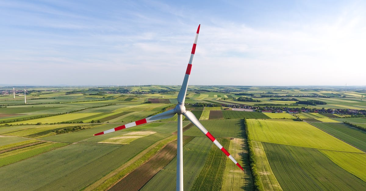découvrez comment la transition durable transforme notre société, en alliant innovation, respect de l'environnement et responsabilité sociale. explorez les stratégies et les initiatives qui façonnent un avenir meilleur pour notre planète.
