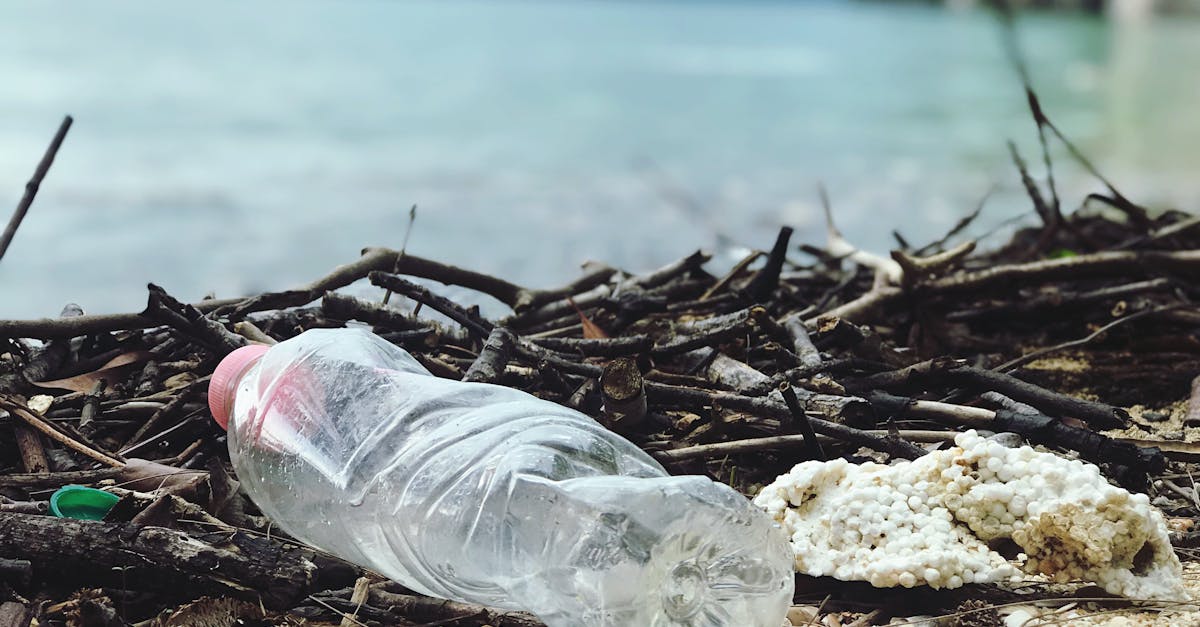 La gestion des déchets en milieu urbain