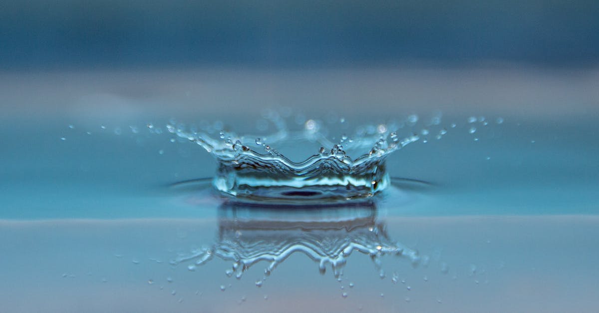 découvrez l'importance de l'eau dans notre quotidien : ses bienfaits pour la santé, son rôle dans l'environnement et des conseils pour une utilisation durable. plongez dans l'univers fascinant de cet élément essentiel à la vie.