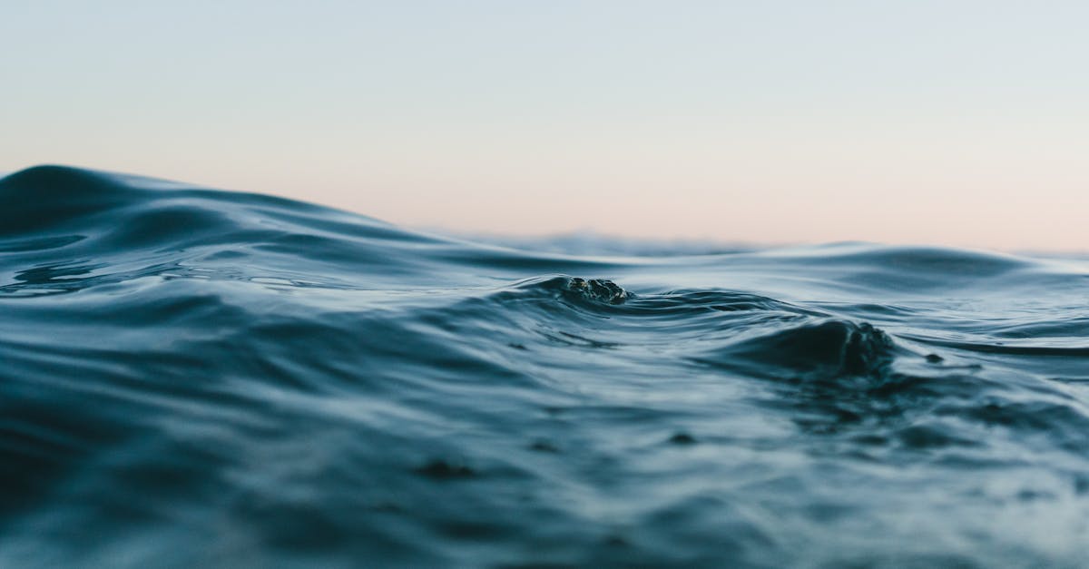 L’importance de l’eau dans la cuisine durable