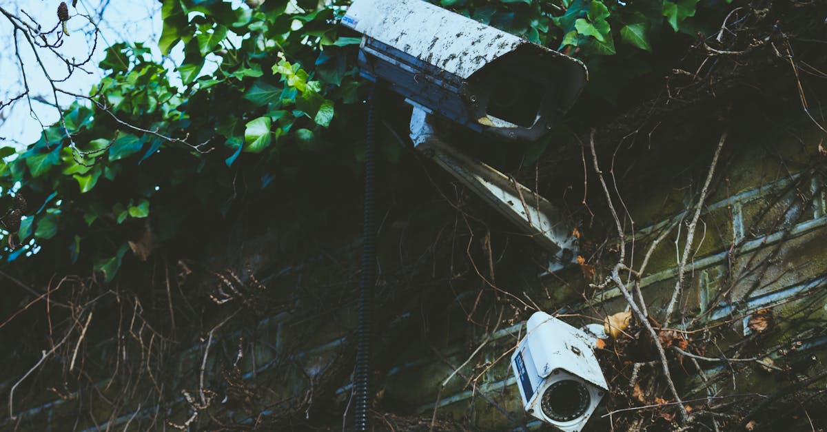 découvrez les systèmes agroécologiques : des pratiques agricoles durables qui préservent l'environnement tout en optimisant la production alimentaire. explorez les avantages de ces approches innovantes pour une agriculture respectueuse de la biodiversité et des ressources naturelles.