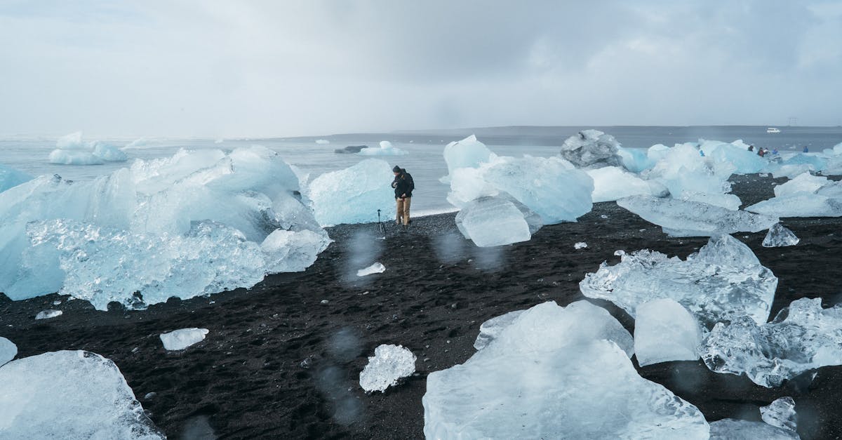 découvrez les enjeux du changement climatique, ses impacts sur notre planète et les solutions pour un avenir durable. informez-vous sur les actions à entreprendre pour lutter contre ce phénomène mondial.