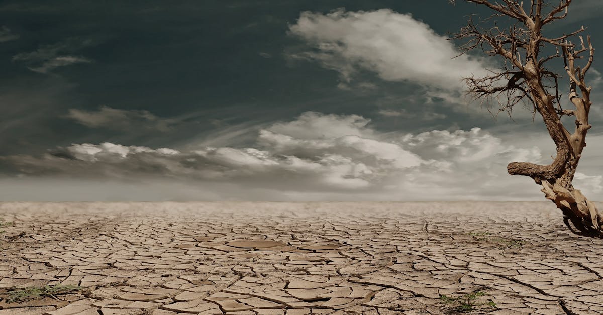 Qu’est-ce que le changement climatique ?