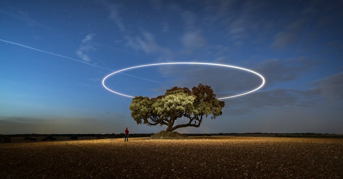 découvrez l'art captivant du light painting, une technique photographique créative qui utilise des sources de lumière pour créer des œuvres d'art éblouissantes. apprenez les astuces, les techniques et les inspirations pour réaliser vos propres créations lumineuses, que ce soit en intérieur ou en plein air.