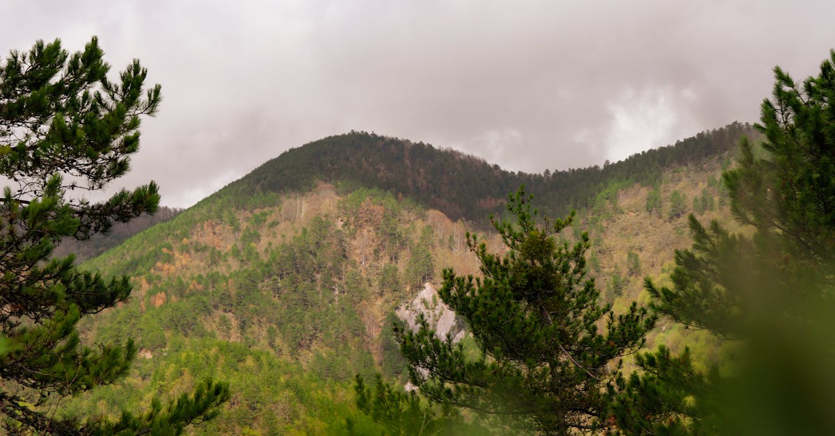 découvrez l'art de la photographie de montagne et capturez des paysages à couper le souffle. apprenez des techniques pour immortaliser la beauté des sommets et des vallées, que vous soyez novice ou photographe expérimenté.