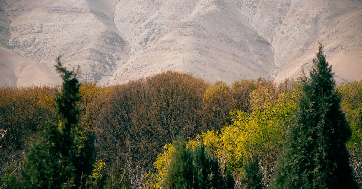 découvrez l'art de la photographie de montagne, où chaque cliché capture la majesté des sommets, la beauté des paysages et l'essence de l'aventure en pleine nature. plongez dans un monde où la lumière et le relief se rencontrent pour créer des images mémorables.