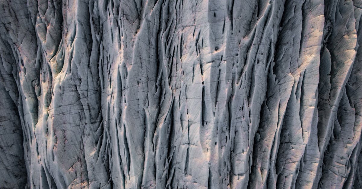 découvrez la beauté de la nature à travers la photographie. explorez des paysages époustouflants, des animaux sauvages et des moments magiques capturés par des photographes passionnés. plongez dans un monde visuel qui célèbre la biodiversité et l'émerveillement de notre planète.