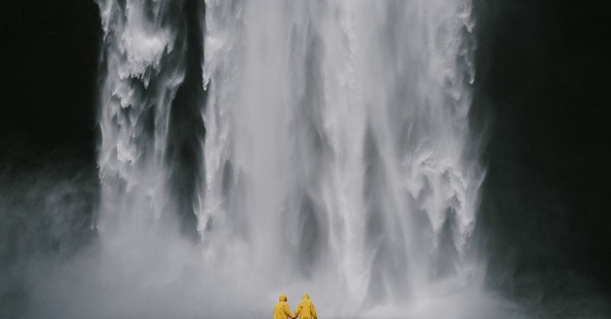 découvrez la beauté de la nature à travers notre collection de photographies époustouflantes. plongez dans des paysages envoûtants et immortalisez la faune et la flore dans leur splendeur naturelle.