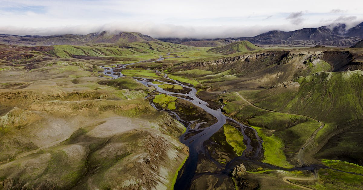 découvrez la beauté du monde naturel à travers notre collection de photographies captivantes. plongez dans des paysages à couper le souffle, des animaux sauvages et des détails fascinants de la nature qui éveillent vos sens et inspirent votre âme.