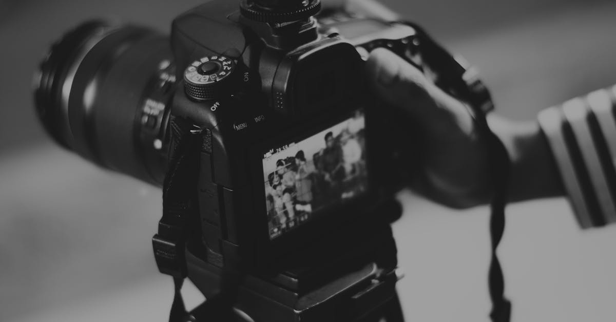 découvrez l'art de la photographie : conseils, techniques, et astuces pour capturer des moments inoubliables. explorez notre passion pour l'image et perfectionnez vos compétences.