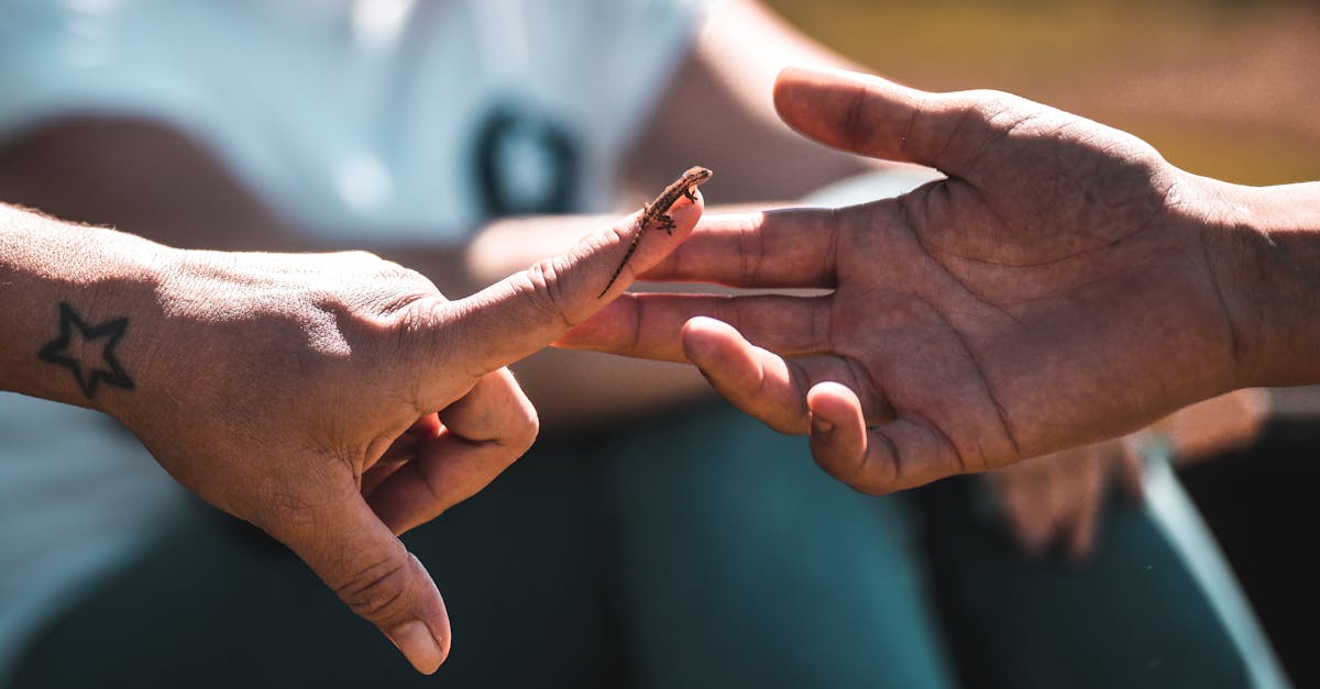 découvrez comment de petites attentions au quotidien peuvent transformer vos relations et apporter du bonheur autour de vous. explorez l'importance des gestes simples et significatifs pour créer un impact positif.