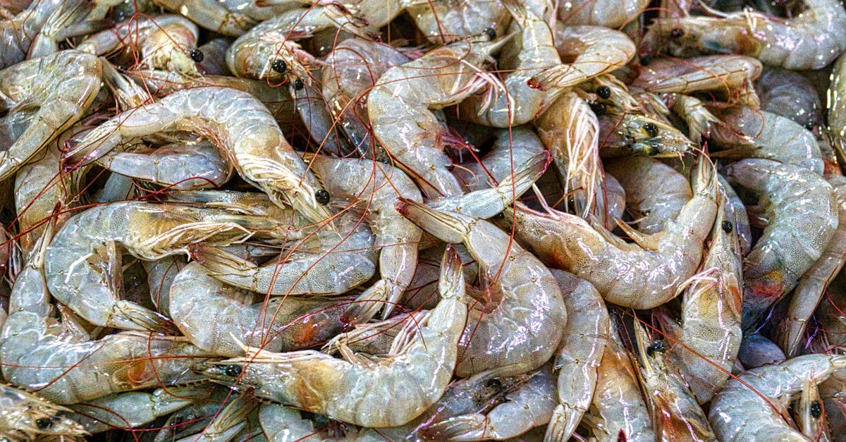 découvrez la cuisine durable : des recettes savoureuses et respectueuses de l'environnement qui réduisent le gaspillage alimentaire et mettent en avant les ingrédients locaux et de saison.
