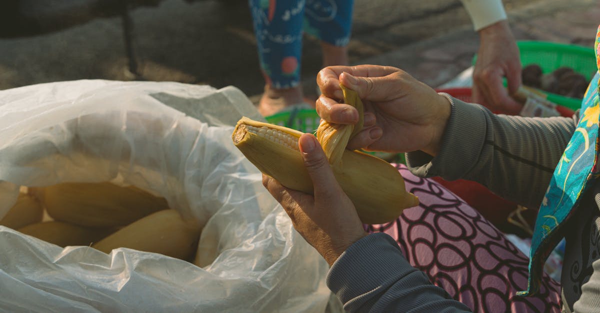 Cuisine durable : conseils de chefs écoresponsables