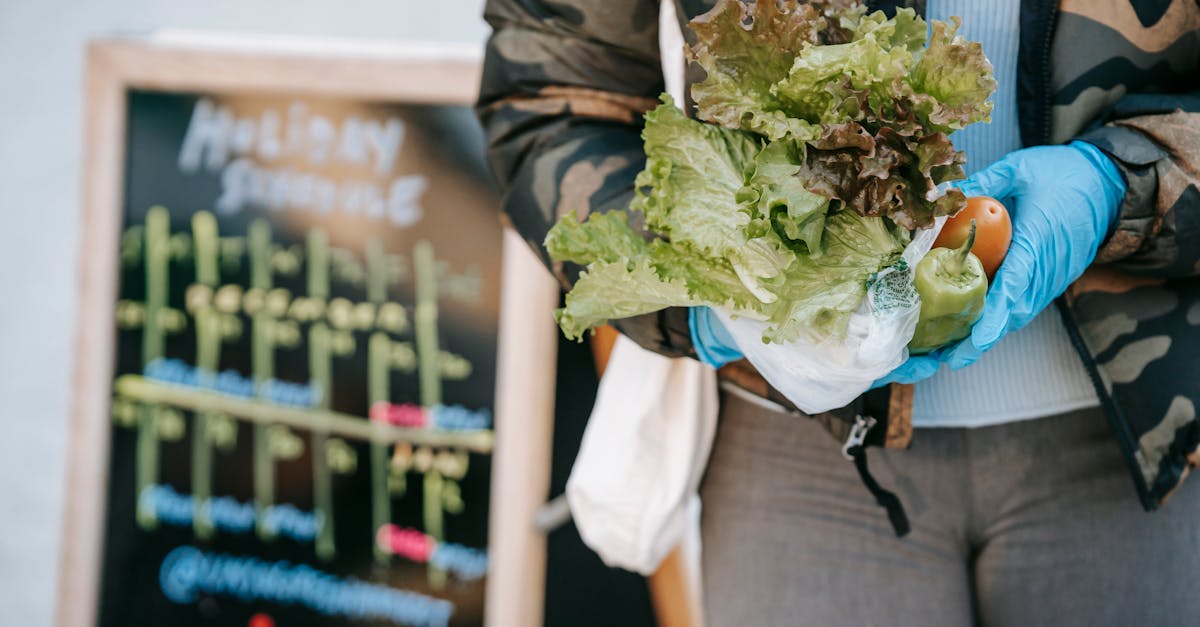 découvrez comment faire des choix alimentaires durables qui contribuent à la santé de notre planète et de votre bien-être. explorez des astuces pratiques, des recettes savoureuses et des informations sur les aliments éthiques pour un mode de vie respectueux de l'environnement.