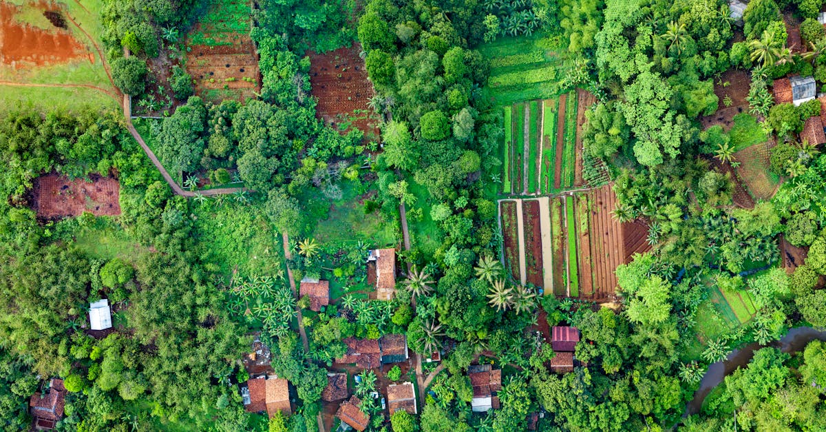 découvrez les meilleures pratiques de gestion durable pour promouvoir l'équilibre entre performance économique, responsabilité sociale et protection de l'environnement. apprenez à intégrer des stratégies respectueuses de la planète dans votre entreprise.
