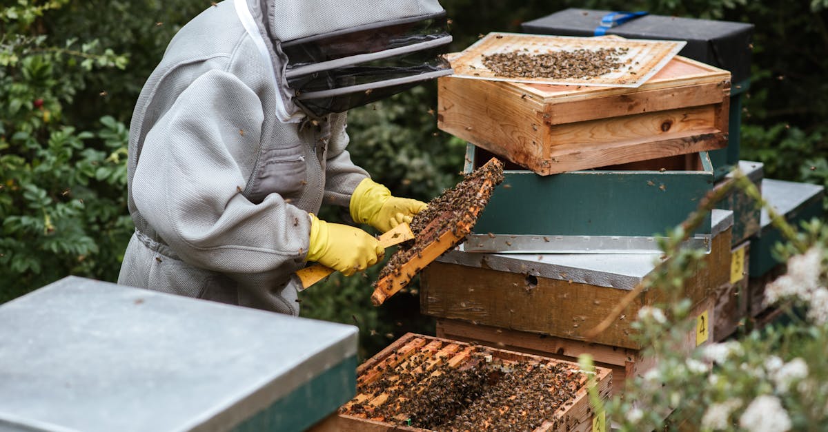 découvrez les clés d'une gestion durable : stratégies, pratiques et outils pour allier performance économique et respect de l'environnement. apprenez à intégrer le développement durable au cœur de votre entreprise pour un avenir responsable.