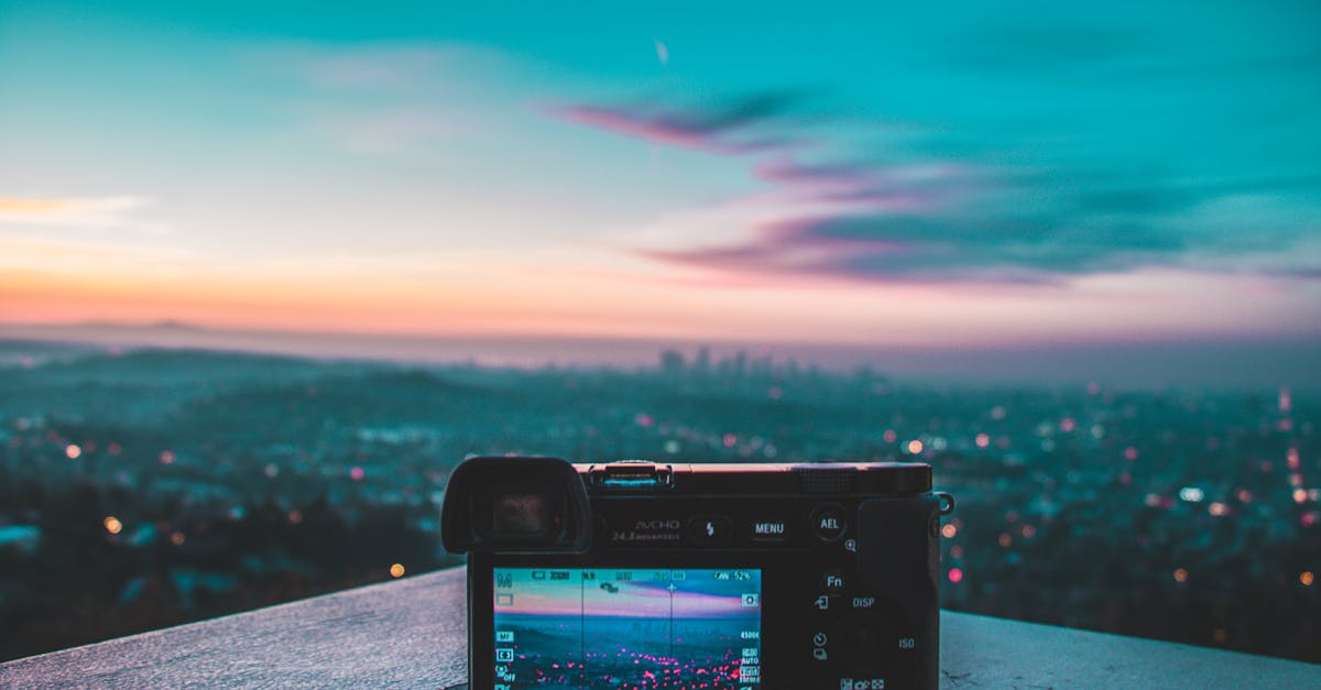 découvrez la beauté de la photographie de la nature urbaine, capturant la fusion entre le paysage naturel et l'environnement urbain. explorez des images inspirantes qui révèlent la diversité des éléments naturels au sein des villes, mettant en valeur la magie des espaces verts et la faune qui cohabite avec l'architecture moderne.