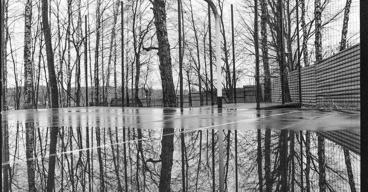 Photographie de nature dans un cadre urbain
