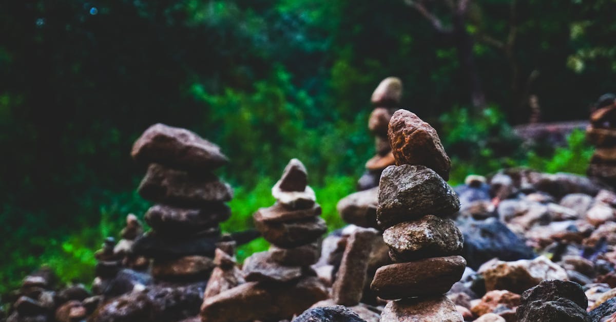 découvrez l'art de la composition paysagère, une approche créative qui harmonise la nature et l'esthétique pour créer des œuvres visuelles saisissantes. apprenez les techniques essentielles pour capturer la beauté des paysages et transformer vos photographies ou peintures en véritables chefs-d'œuvre.