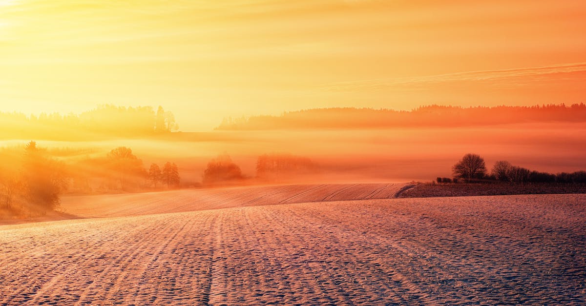 découvrez l'art de la composition paysagère, une approche créative qui harmonise nature et design. explorez des techniques et astuces pour réaliser des paysages visuellement captivants et inspirants.