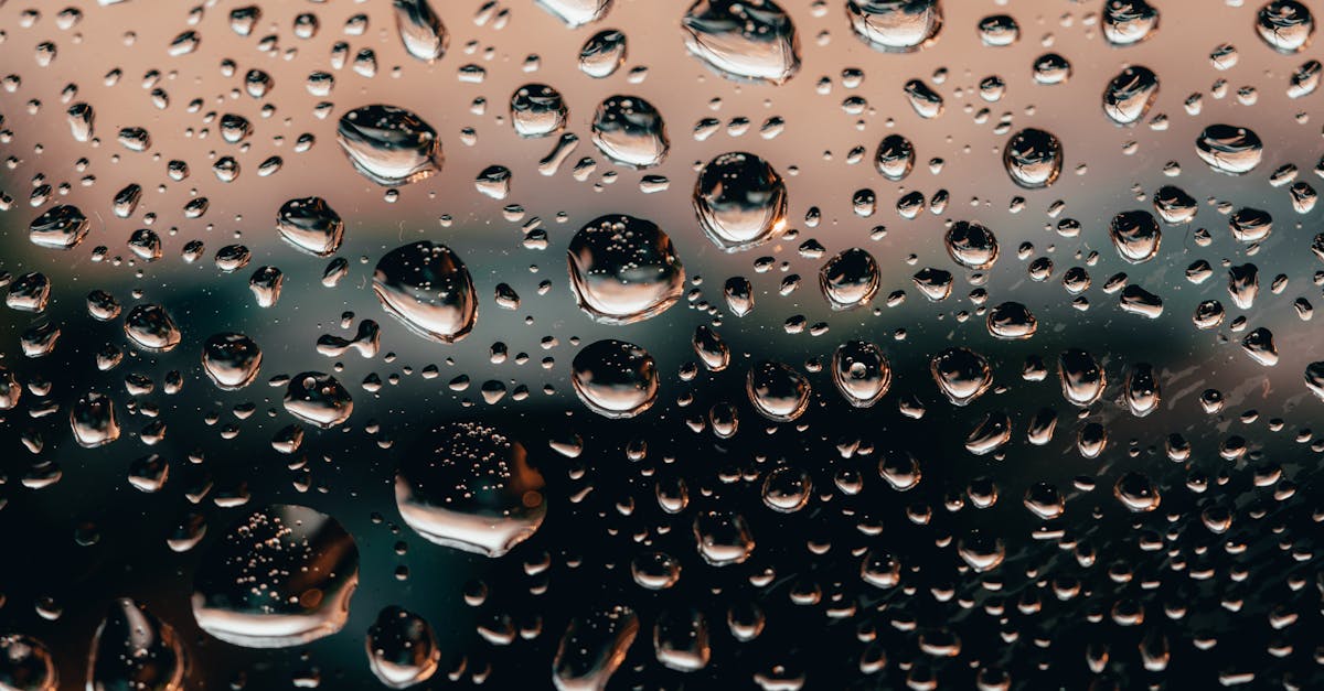 découvrez l'art de la photographie météorologique, où les conditions climatiques se transforment en œuvres visuelles captivantes. apprenez les techniques pour capturer des paysages sous la pluie, la neige, ou les rayons du soleil, et explorez comment la météo peut façonner votre créativité.