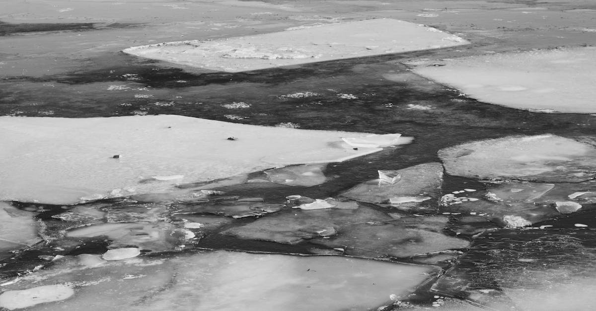 découvrez l'art fascinant de la photographie climatique, où la beauté de la nature rencontre les caprices du temps. apprenez à capturer des paysages époustouflants sous différentes conditions météorologiques.