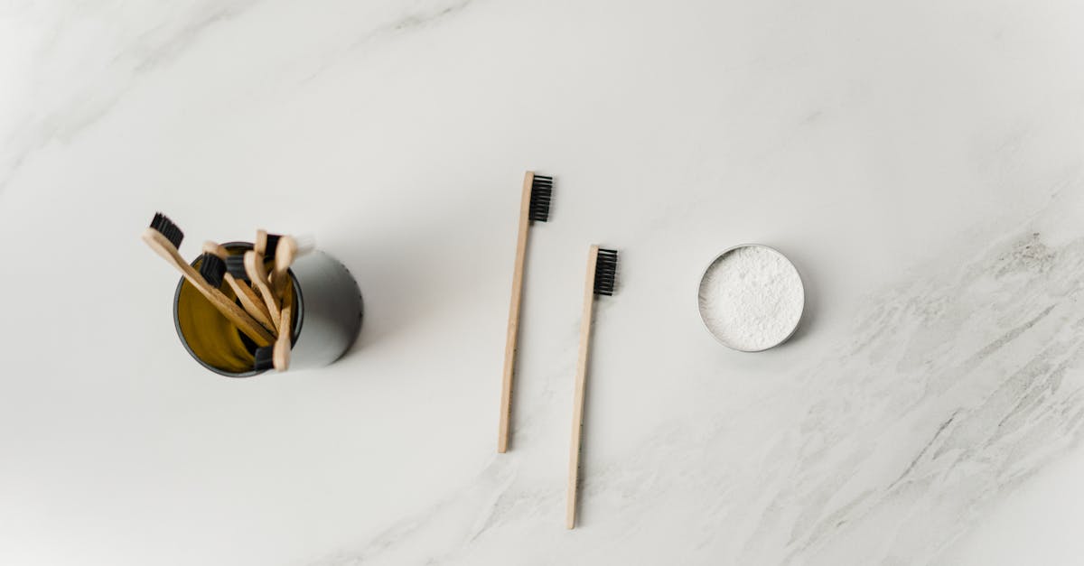 découvrez comment adopter un mode de vie zéro déchet avec des conseils pratiques, des astuces et des solutions durables pour réduire votre impact écologique tout en préservant notre planète.