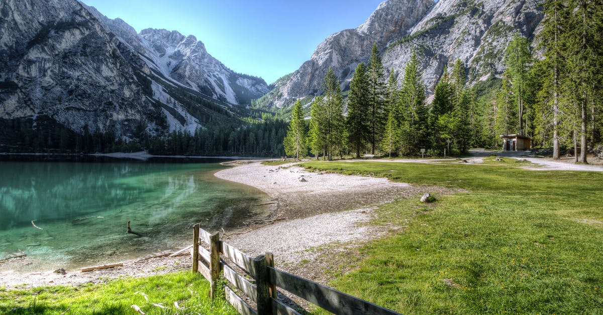 découvrez la beauté de la nature à travers la photographie. admirez des paysages époustouflants, des animaux sauvages et des détails fascinants dont regorge notre planète. plongez dans l'univers de la photographie naturelle et laissez-vous inspirer par ses merveilles.
