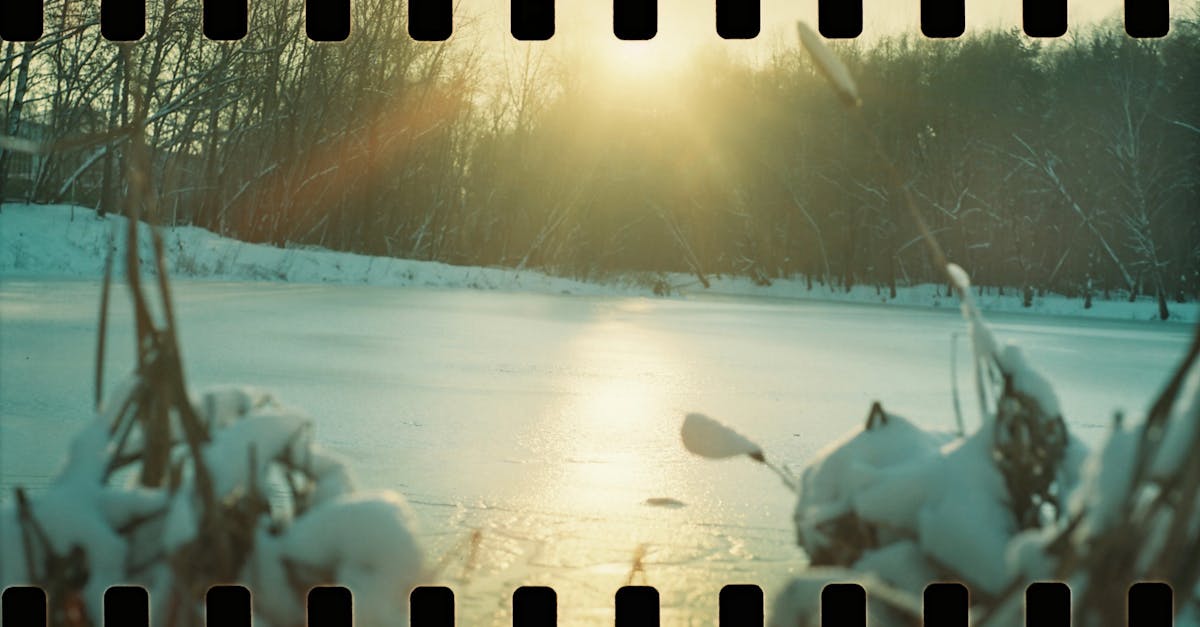 découvrez le processus de dégel, ses effets sur l'environnement et son impact sur l'agriculture et l'écologie. informez-vous sur les raisons et les conséquences du dégel dans différentes régions du monde.