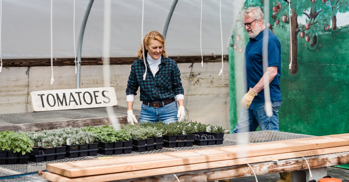 découvrez les principes de la permaculture pour créer des écosystèmes durables et productifs. apprenez à cultiver en harmonie avec la nature tout en préservant les ressources de notre planète.