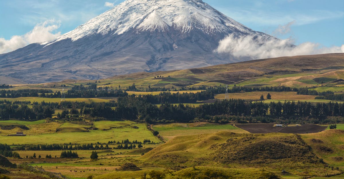découvrez l'écotourisme, une façon de voyager responsable qui respecte l'environnement et soutient les communautés locales. explorez des destinations durables tout en préservant la nature et en favorisant la biodiversité.