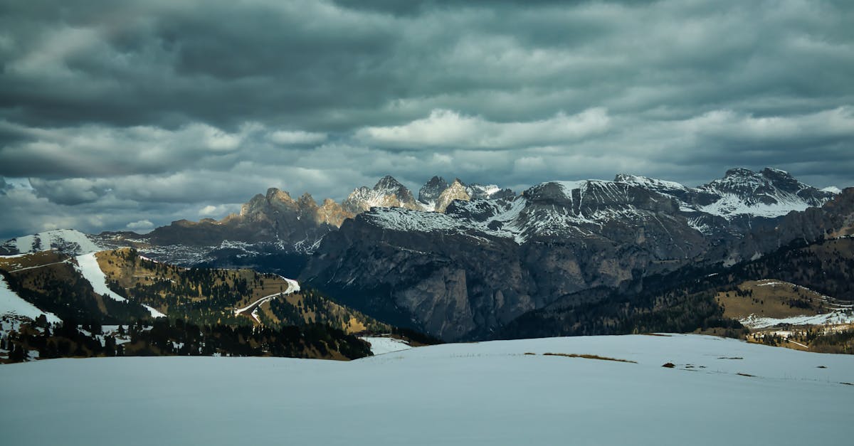 découvrez l'écotourisme, une manière responsable de voyager qui préserve la nature et soutient les communautés locales. explorez des destinations sereines, engagez-vous dans des activités durables et vivez des expériences authentiques tout en minimisant votre impact environnemental.