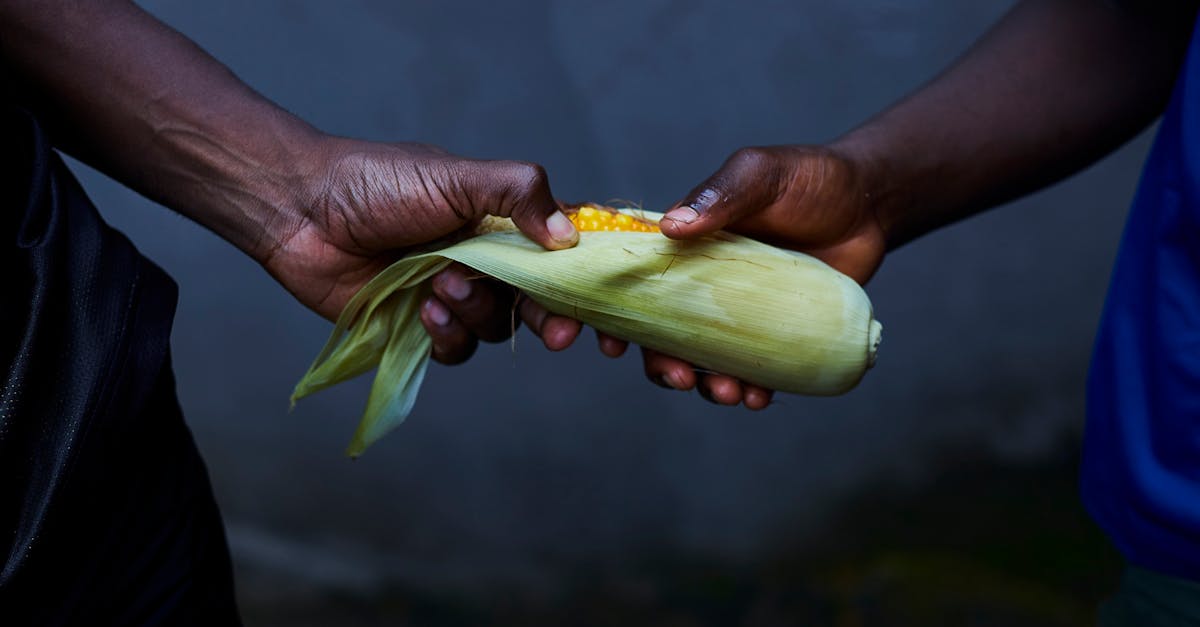 découvrez l'authenticité des marchés locaux, où produits frais, artisanat et spécialités régionales se mêlent pour offrir une expérience unique. explorez les saveurs et les couleurs de votre région tout en soutenant les producteurs locaux.