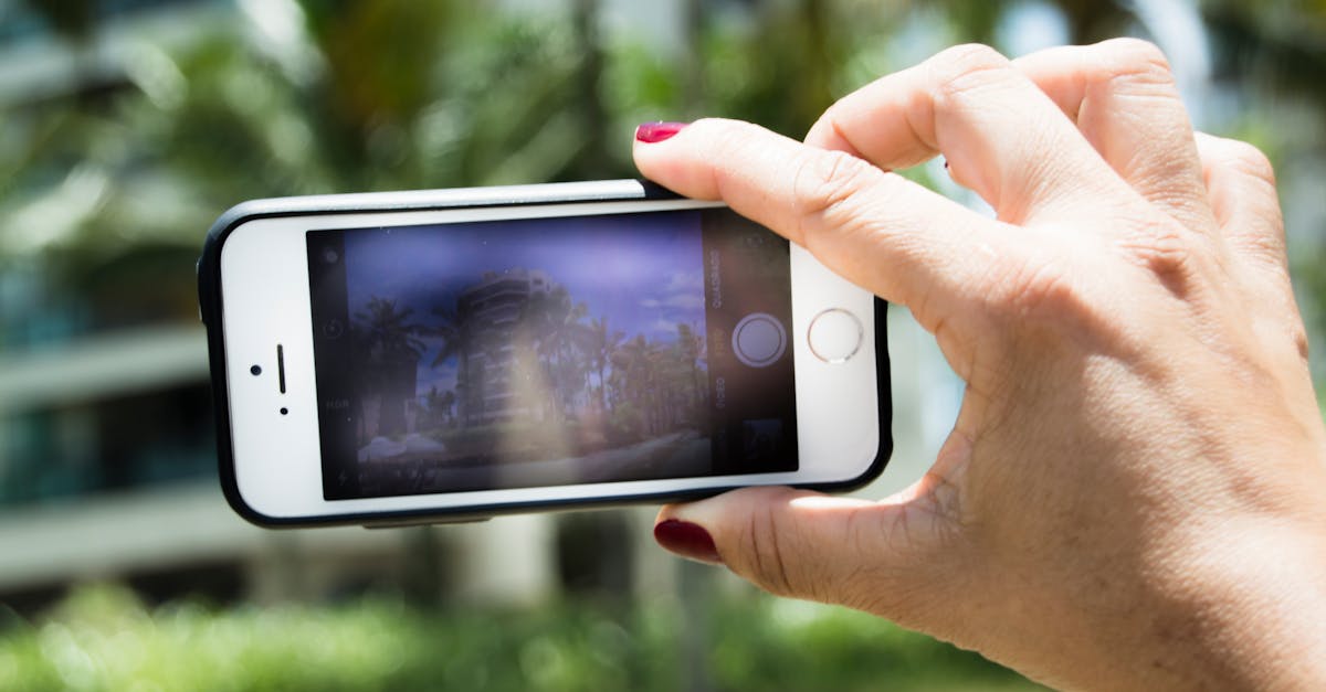 découvrez les meilleures applications de photographie nature pour capturer la beauté du monde qui vous entoure. que vous soyez amateur ou professionnel, ces outils vous aideront à réaliser des photos époustouflantes de paysages, faune et flore.