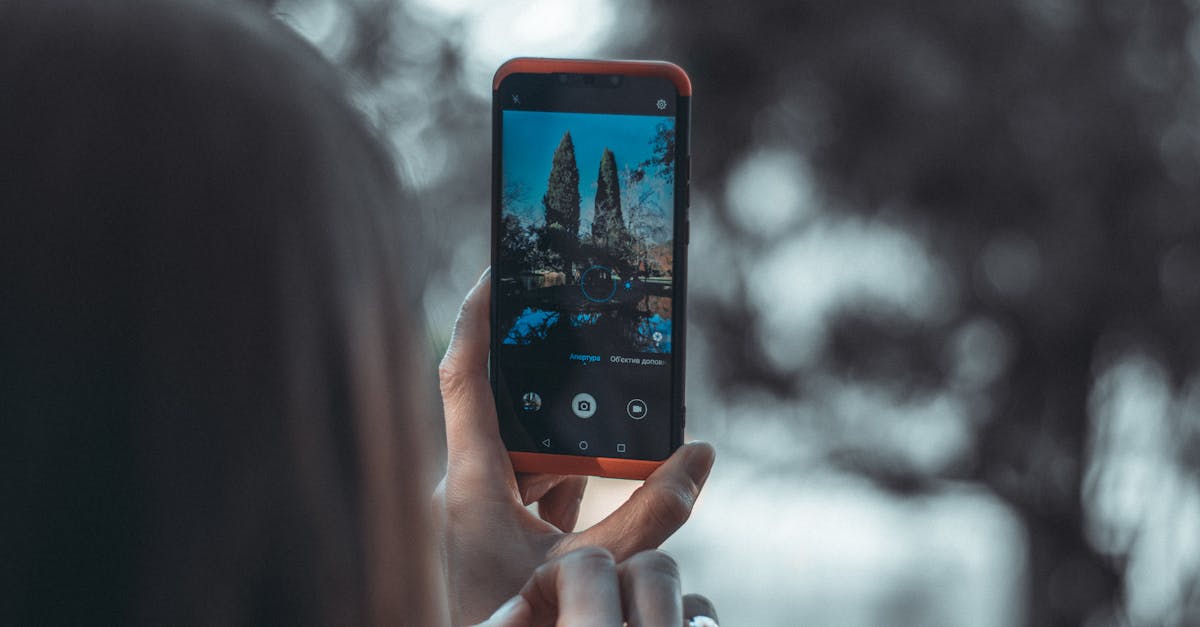 découvrez les meilleures applications de photographie de nature pour capturer la beauté du monde qui vous entoure. améliorez vos compétences en photographie avec des outils professionnels, des filtres et des conseils d'experts pour immortaliser vos aventures en extérieur.