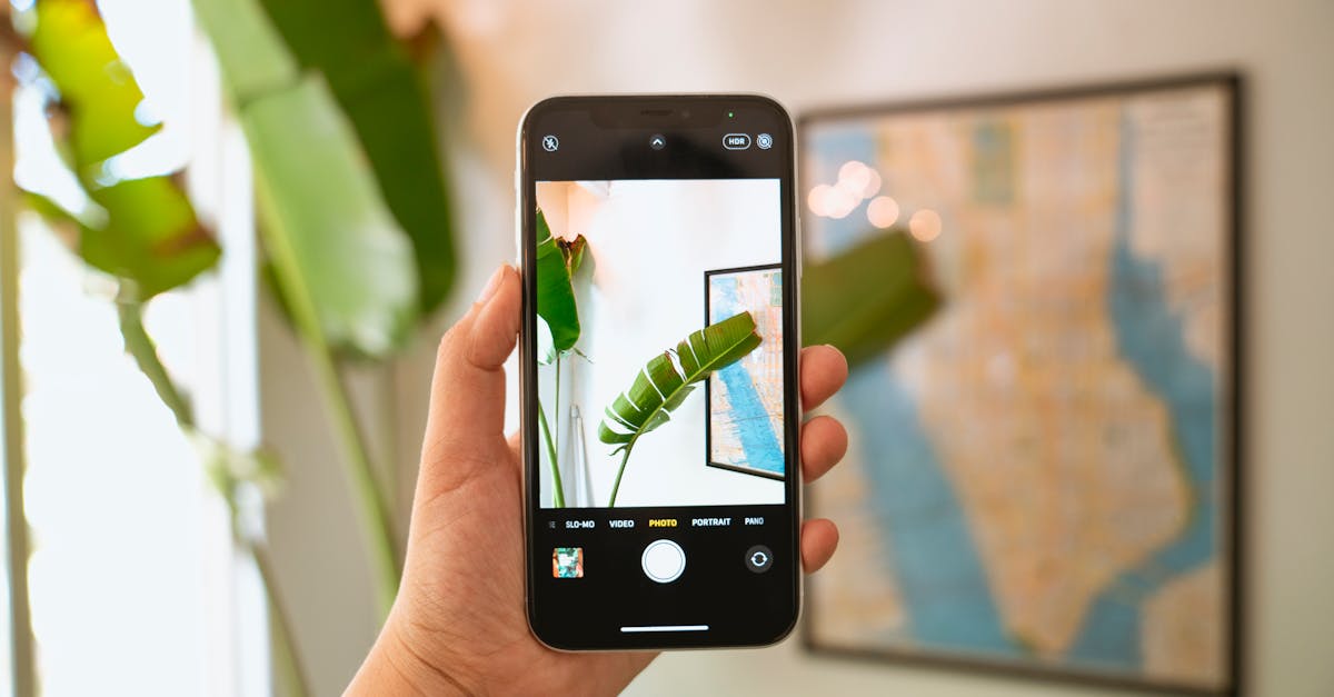 découvrez les meilleures applications de photographie de la nature pour capturer la beauté des paysages, la faune et la flore. obtenez des conseils pratiques, des astuces de pro et des outils pour améliorer vos compétences en photographie en plein air.