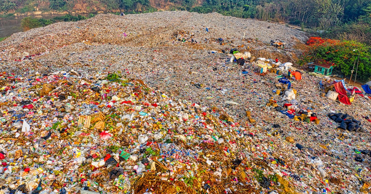 découvrez les enjeux de la surconsommation : impacts environnementaux, économiques et sociaux, et apprenez des solutions pour adopter un mode de consommation plus durable.