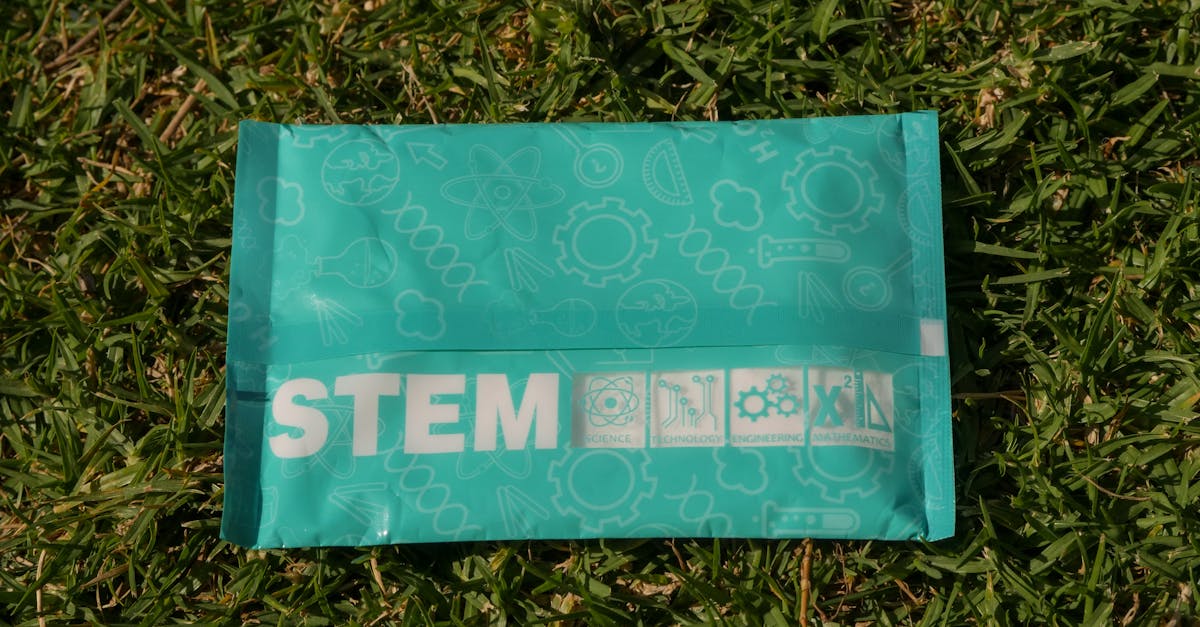 découvrez les dernières innovations en matière de recyclage qui transforment notre approche de la gestion des déchets. cette exploration met en lumière des technologies durables et des solutions créatives qui améliorent l'efficacité du recyclage et contribuent à un avenir plus écologique.