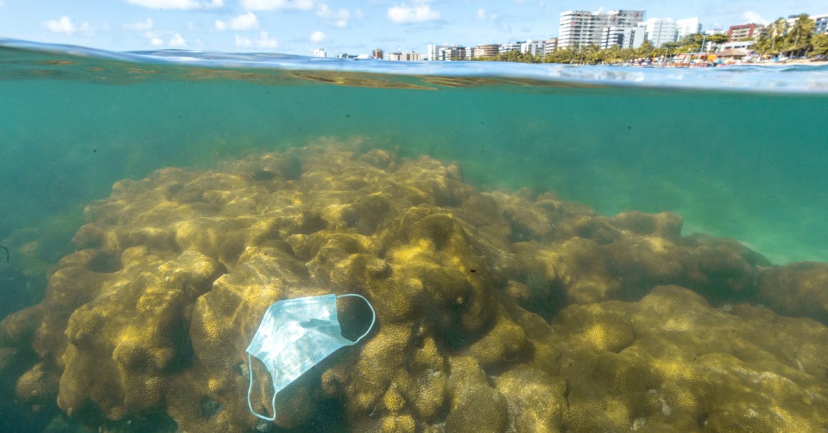 découvrez comment les villes durables transforment l'urbanisme en intégrant des pratiques écologiques, des infrastructures vertes et une qualité de vie améliorée pour leurs habitants. explorez les initiatives innovantes qui façonnent un avenir urbain respectueux de l'environnement.