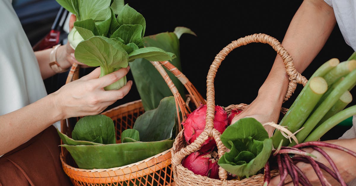 découvrez l'art de la cuisine durable : des recettes savoureuses, des ingrédients locaux et des astuces pour réduire votre impact sur l'environnement tout en régalant vos papilles.