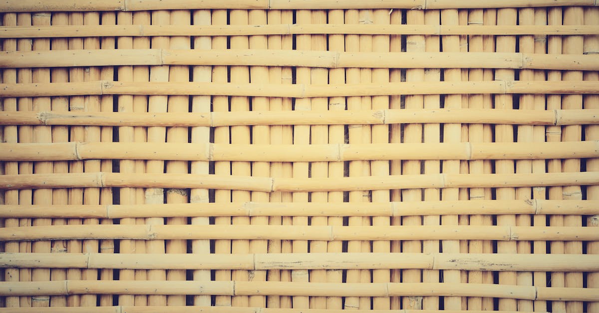 découvrez l'artisanat durable : un équilibre parfait entre tradition et innovation, où chaque création respecte l'environnement tout en préservant le savoir-faire artisanal. explorez un monde où la qualité rencontre l'éthique.