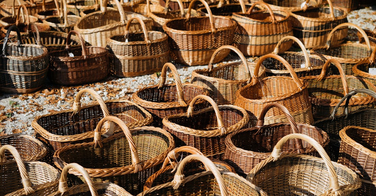 découvrez l'artisanat durable : un équilibre parfait entre tradition et modernité, où chaque création respecte l'environnement tout en célébrant le savoir-faire. plongez dans un monde où la qualité et l'éthique se rencontrent pour donner vie à des pièces uniques et responsables.